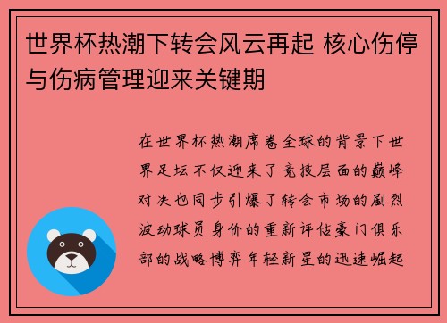 世界杯热潮下转会风云再起 核心伤停与伤病管理迎来关键期